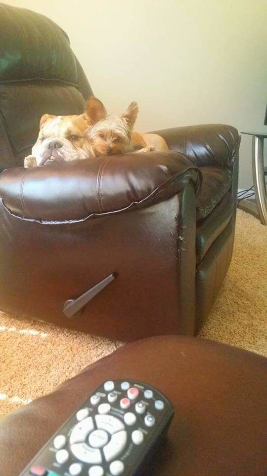 Oscar and Sparky